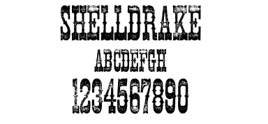 A Wild West style font called Shelldrake from the Walden Font Co. It is part of the Wild West Press set of fonts.